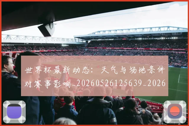 世界杯最新动态：天气与场地条件对赛事影响_20260526125639_20260715190919