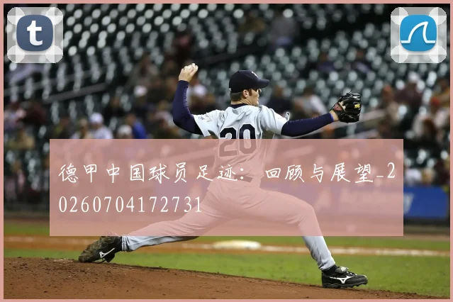 德甲中国球员足迹：回顾与展望_20260704172731