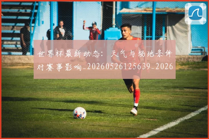 世界杯最新动态：天气与场地条件对赛事影响_20260526125639_20260715190919